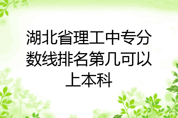湖北省理工中专分数线排名第几可以上本科