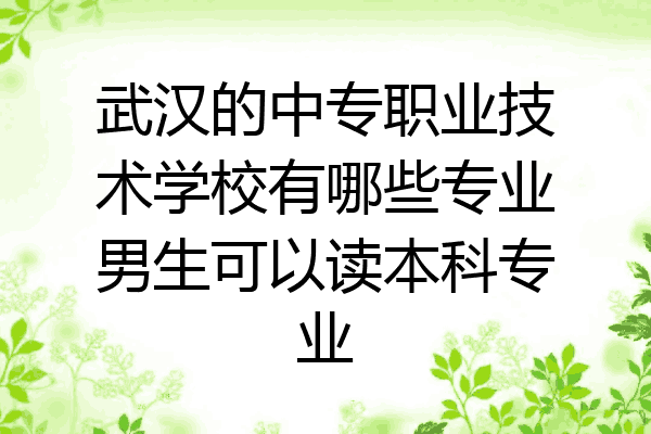 武汉的中专职业技术学校有哪些专业男生可以读本科专业