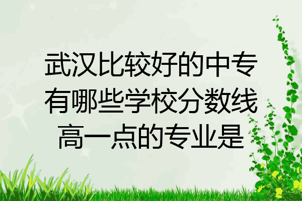 武汉比较好的中专有哪些学校分数线高一点的专业是