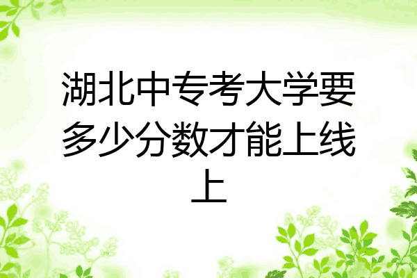 湖北中专考大学要多少分数才能上线上