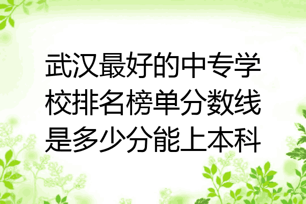 武汉最好的中专学校排名榜单分数线是多少分能上本科