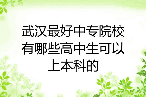武汉最好中专院校有哪些高中生可以上本科的