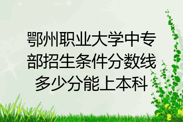 鄂州职业大学中专部招生条件分数线多少分能上本科