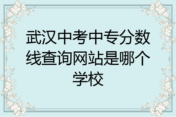 武汉中考中专分数线查询网站是哪个学校