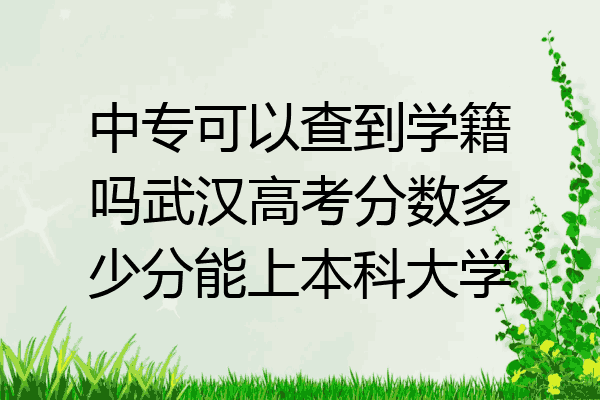 中专可以查到学籍吗武汉高考分数多少分能上本科大学