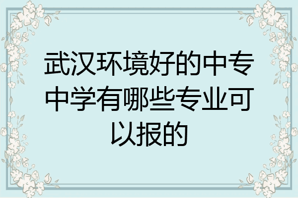 武汉环境好的中专中学有哪些专业可以报的