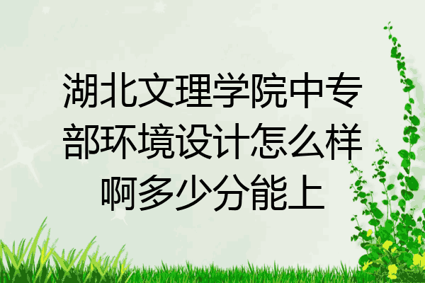湖北文理学院中专部环境设计怎么样啊多少分能上