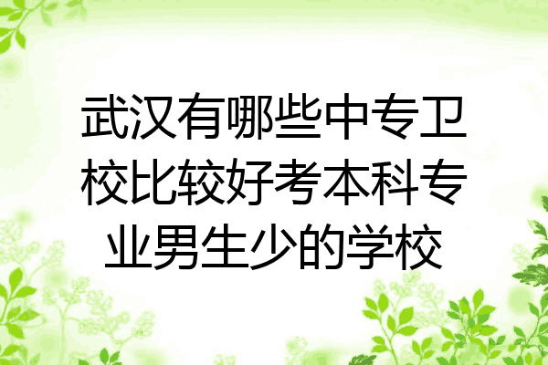 武汉有哪些中专卫校比较好考本科专业男生少的学校