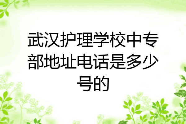 武汉护理学校中专部地址电话是多少号的