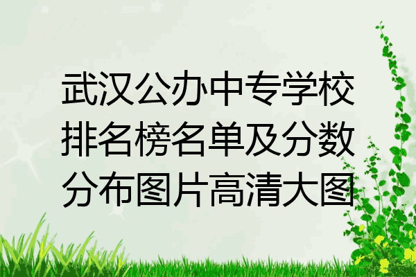 武汉公办中专学校排名榜名单及分数分布图片高清大图