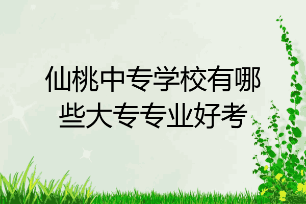 仙桃中专学校有哪些大专专业好考