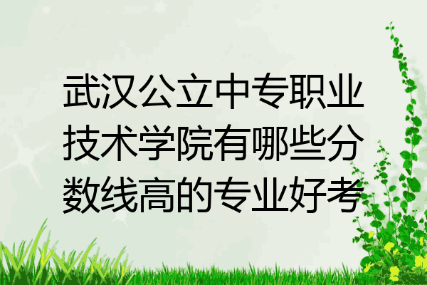 武汉公立中专职业技术学院有哪些分数线高的专业好考