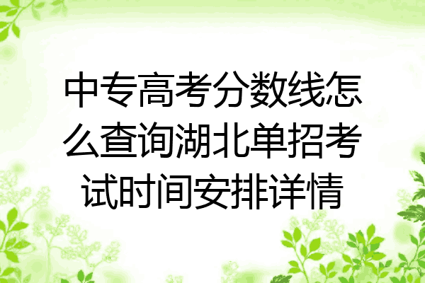 中专高考分数线怎么查询湖北单招考试时间安排详情