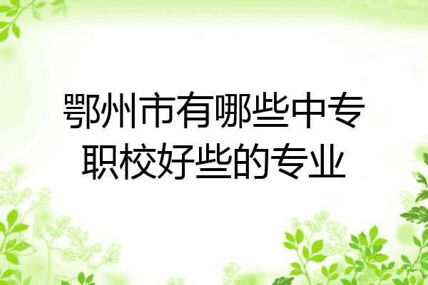 鄂州市有哪些中专职校好些的专业