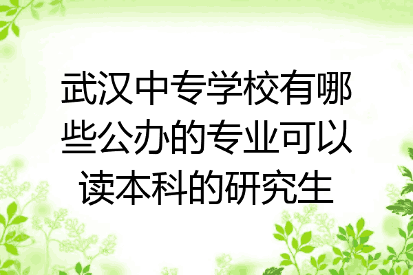 武汉中专学校有哪些公办的专业可以读本科的研究生