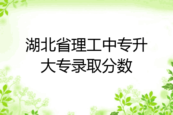 湖北省理工中专升大专录取分数
