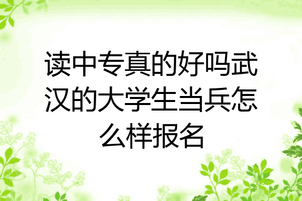 读中专真的好吗武汉的大学生当兵怎么样报名