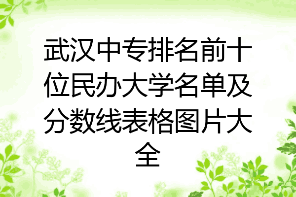 武汉中专排名前十位民办大学名单及分数线表格图片大全