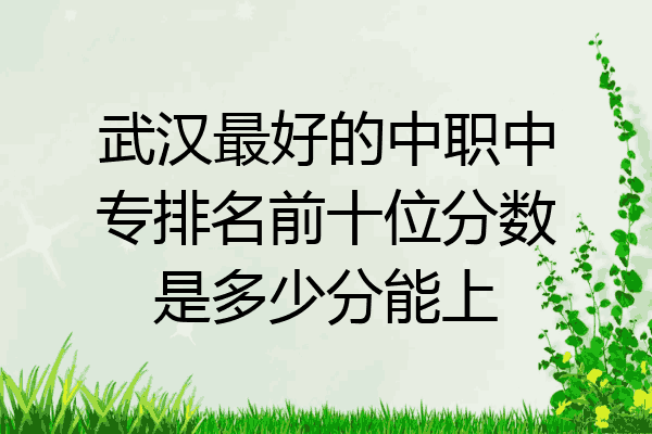 武汉最好的中职中专排名前十位分数是多少分能上