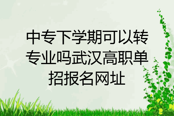 中专下学期可以转专业吗武汉高职单招报名网址