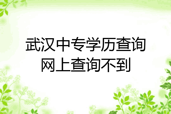 武汉中专学历查询网上查询不到