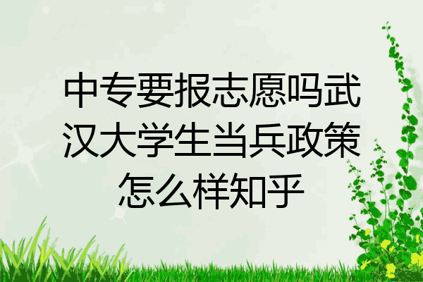 中专要报志愿吗武汉大学生当兵政策怎么样知乎