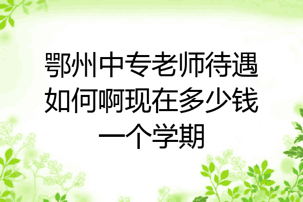 鄂州中专老师待遇如何啊现在多少钱一个学期