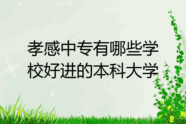 孝感中专有哪些学校好进的本科大学