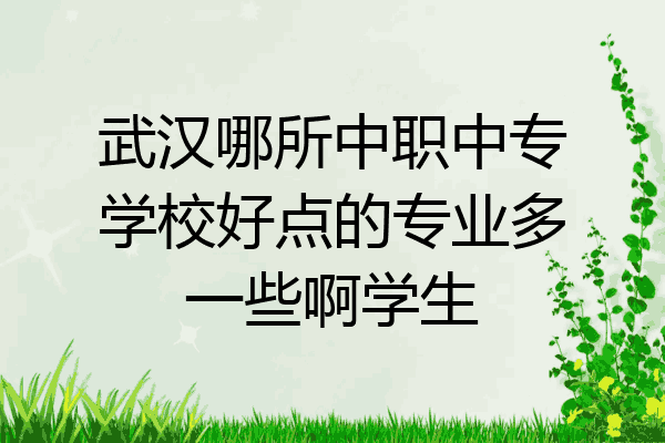 武汉哪所中职中专学校好点的专业多一些啊学生