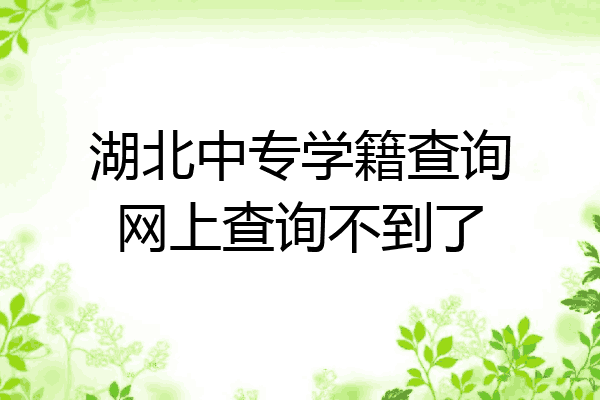 湖北中专学籍查询网上查询不到了
