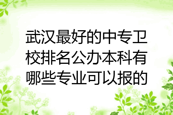武汉最好的中专卫校排名公办本科有哪些专业可以报的