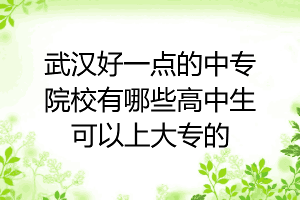 武汉好一点的中专院校有哪些高中生可以上大专的