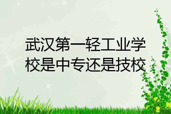 武汉第一轻工业学校是中专还是技校