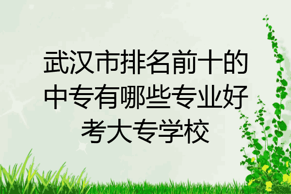 武汉市排名前十的中专有哪些专业好考大专学校