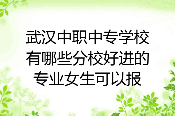 武汉中职中专学校有哪些分校好进的专业女生可以报