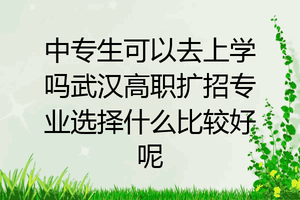 中专生可以去上学吗武汉高职扩招专业选择什么比较好呢