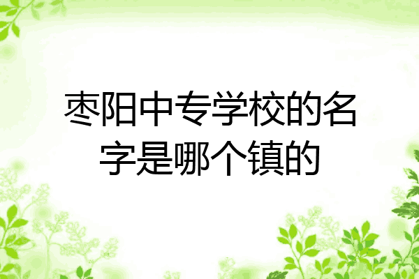 枣阳中专学校的名字是哪个镇的