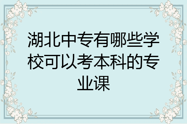 湖北中专有哪些学校可以考本科的专业课