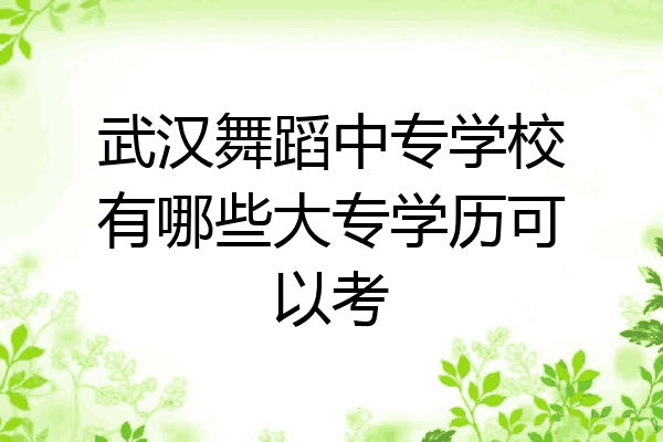 武汉舞蹈中专学校有哪些大专学历可以考
