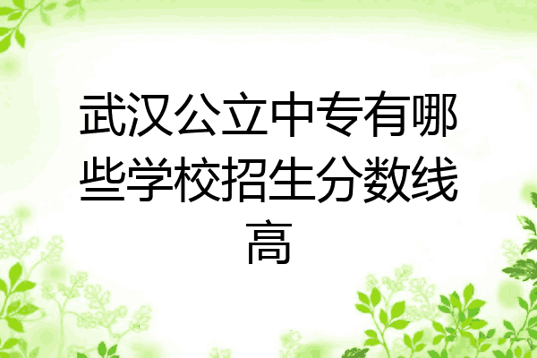 武汉公立中专有哪些学校招生分数线高