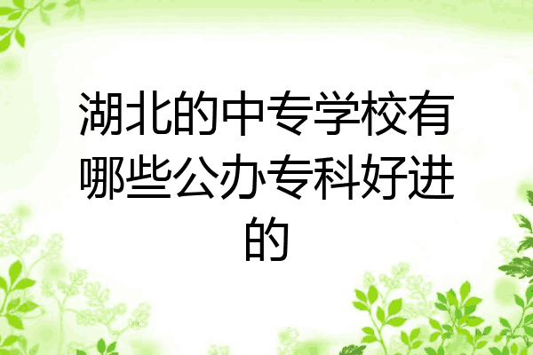 湖北的中专学校有哪些公办专科好进的