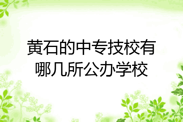 黄石的中专技校有哪几所公办学校