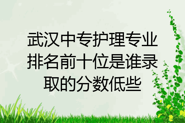 武汉中专护理专业排名前十位是谁录取的分数低些