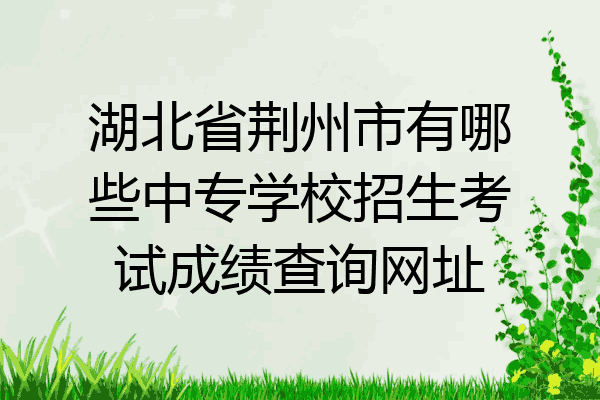 湖北省荆州市有哪些中专学校招生考试成绩查询网址