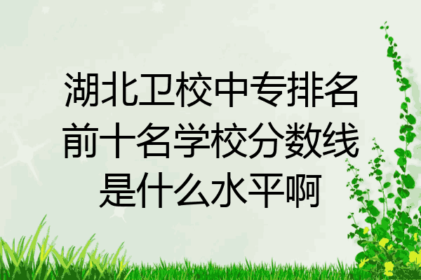 湖北卫校中专排名前十名学校分数线是什么水平啊