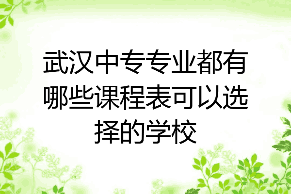 武汉中专专业都有哪些课程表可以选择的学校