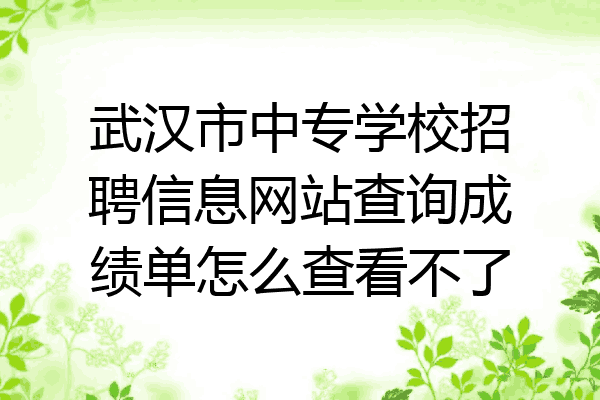 武汉市中专学校招聘信息网站查询成绩单怎么查看不了