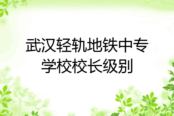 武汉轻轨地铁中专学校校长级别