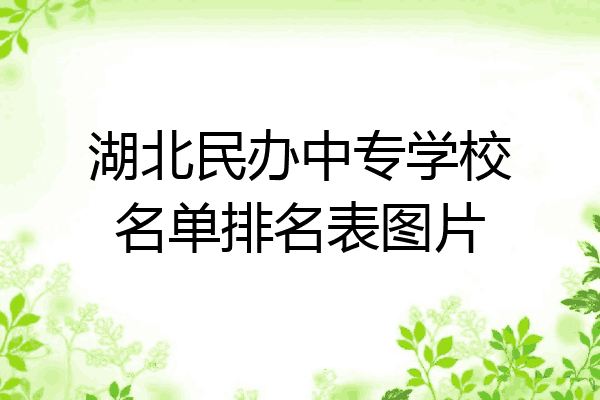 湖北民办中专学校名单排名表图片