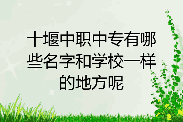 十堰中职中专有哪些名字和学校一样的地方呢
